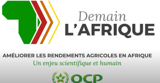 Améliorer les rendements agricoles en Afrique - Un enjeu scientifique et humain