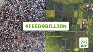 feed9billion