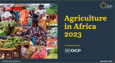 4th edition of the Focus report « Agriculture in Africa 2023 »