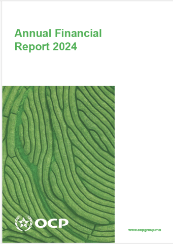 Annual Financial Report 2024